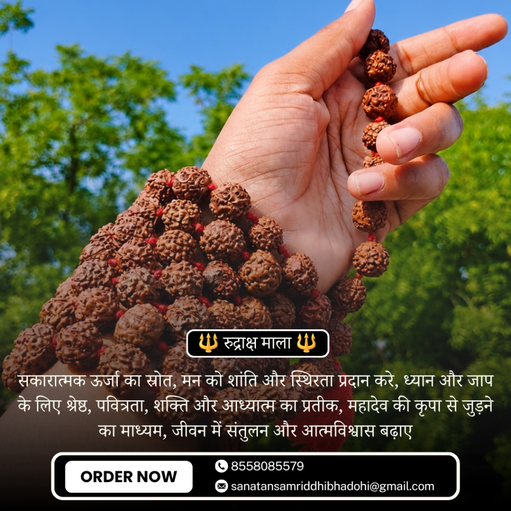 Rudraksha Mala on Hand